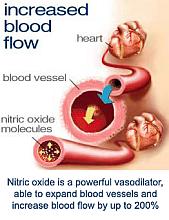 nitric oxide nitric oxide